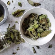 伊朗批发干罗勒 | 购买散装干罗勒 + 价格