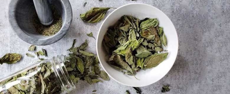 伊朗批发干罗勒 | 购买散装干罗勒 + 价格