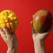 伊朗批发芒果 | 批量购买芒果及价格