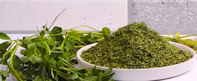 伊朗批发干葫芦巴 | 购买散装干葫芦巴 + 价格